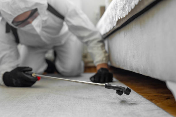Professional Pest Control technician working in Bastrop County County, TX